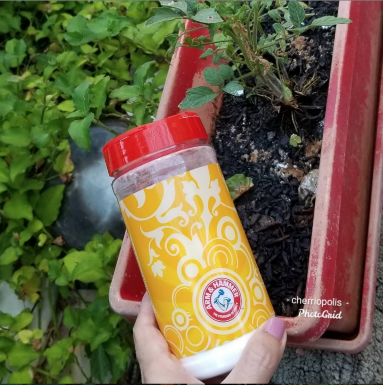 Gardening with baking soda with caption