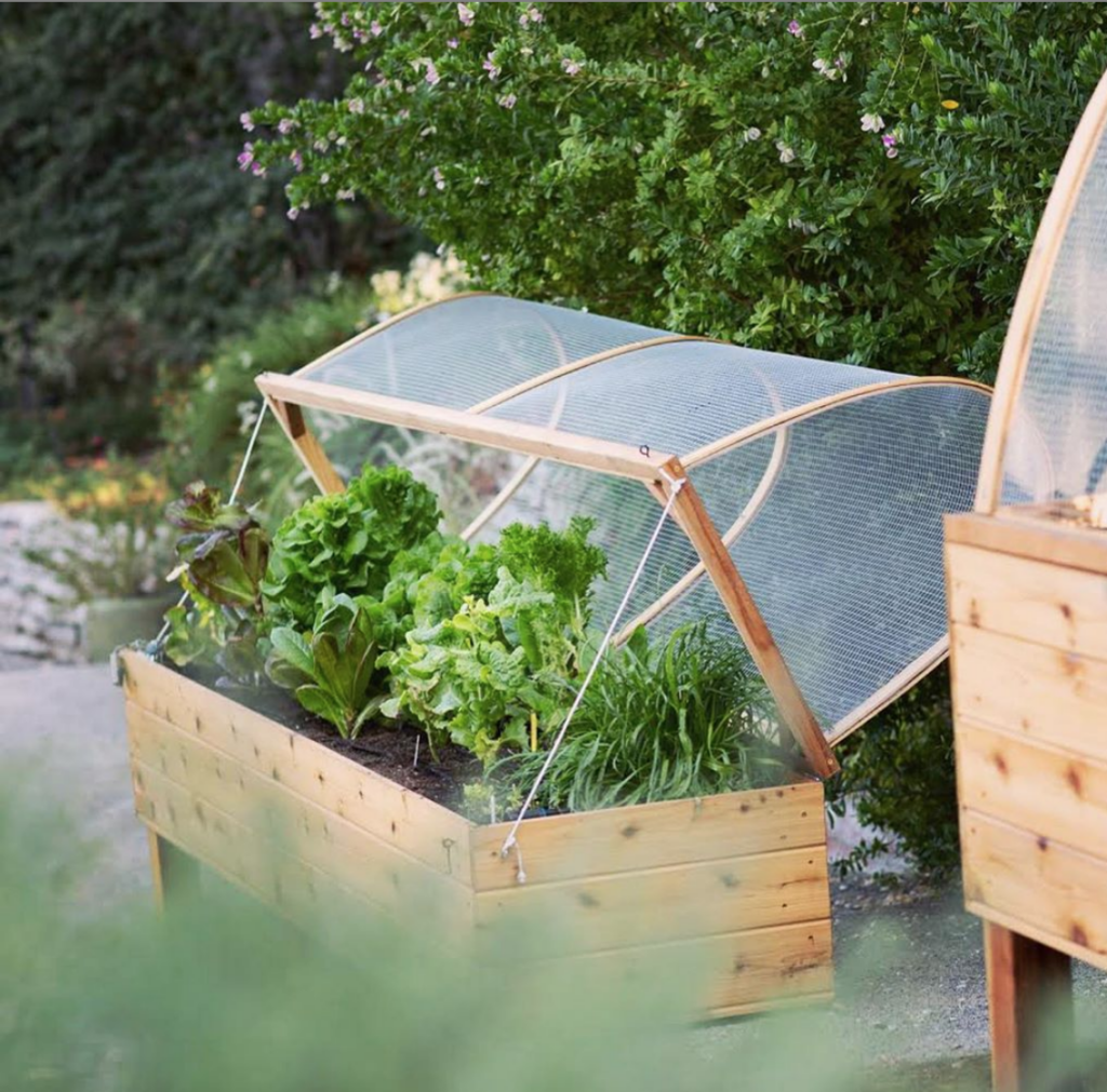 victory garden with cover