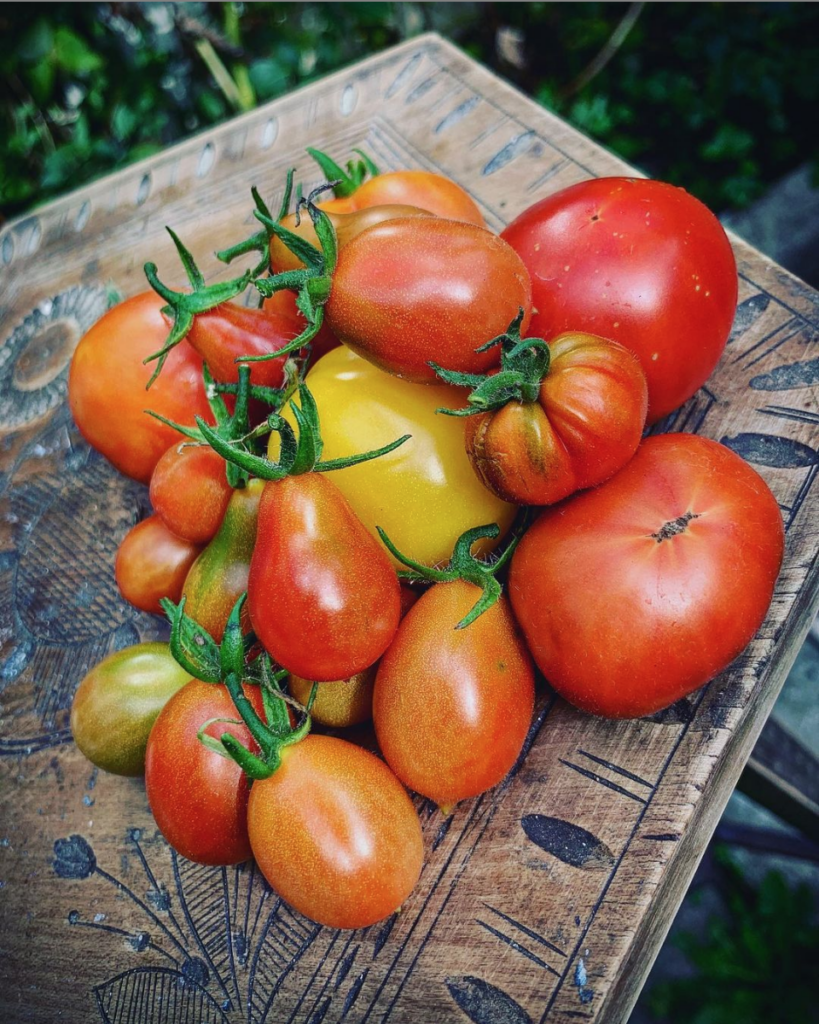 Victory garden with caption